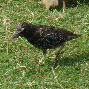 2016年に撮影した自然のワンショット動画