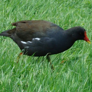 2015年に撮影した自然のワンショット動画