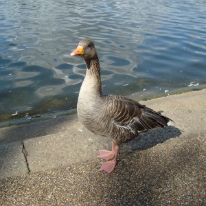 2018年に撮影した自然のワンショット動画