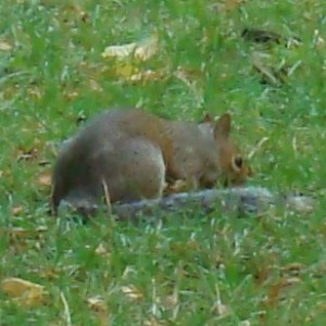 2022年に撮影した自然のワンショット動画