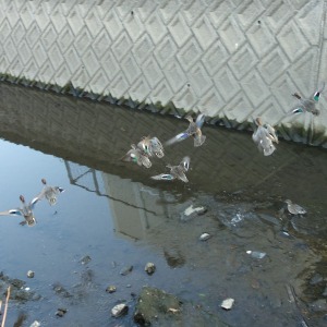 2023年に撮影した自然のワンショット動画