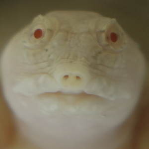 プロフィール写真