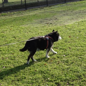 2024年に撮影した自然のワンショット動画