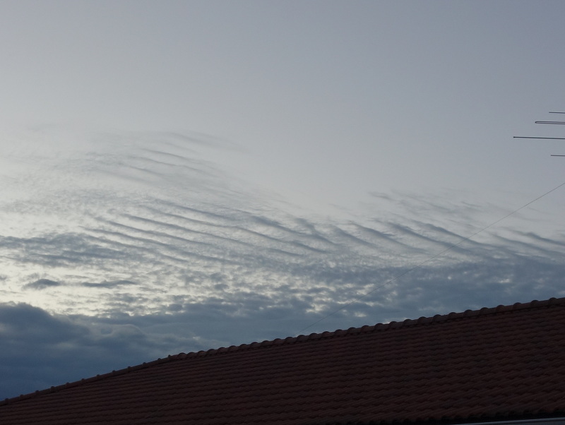 うろこ雲（いわし雲）