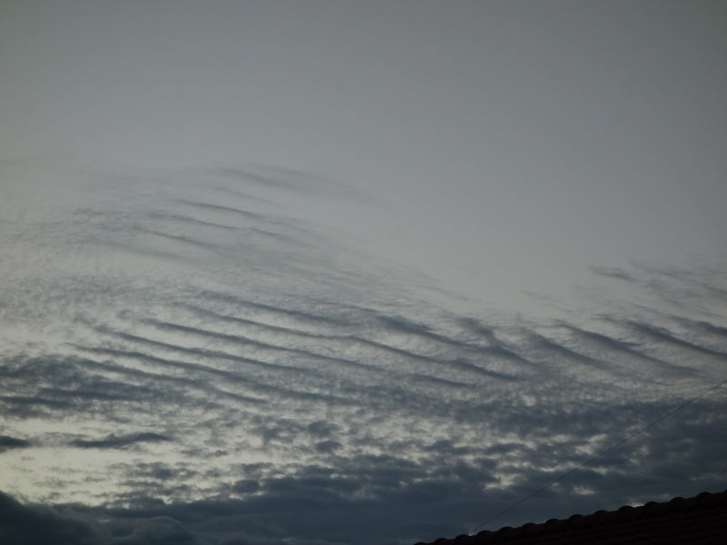 うろこ雲（いわし雲）