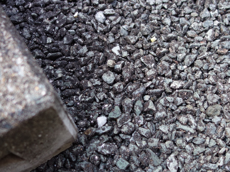 イヌホオズキ（犬酸漿）の花があった場所