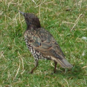 2020年に撮影した自然のワンショット動画